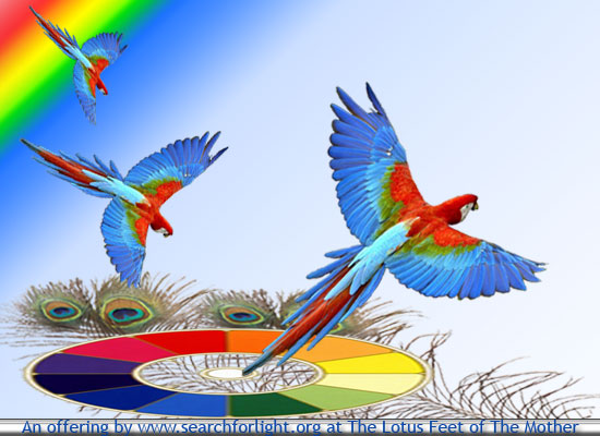 The Mother and Sri Aurobindo