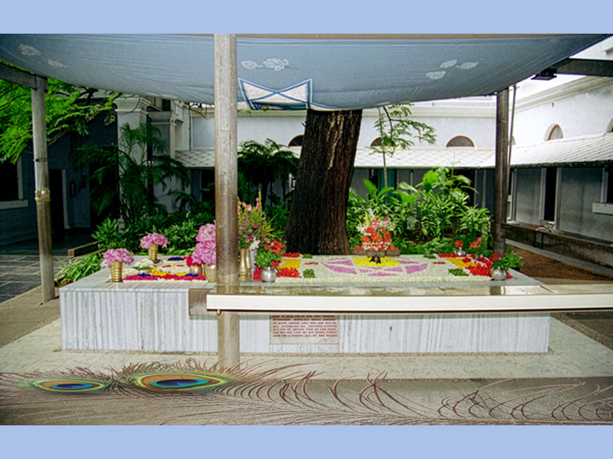 Image 11 description