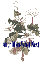 Superman  and Supramental consciousness