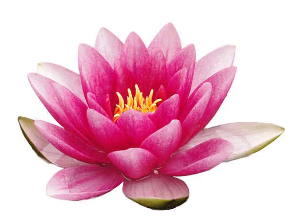 The Mother by Sri Aurobindo