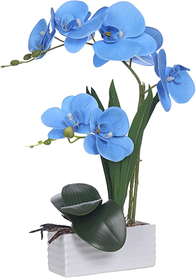 The Mother by Sri Aurobindo